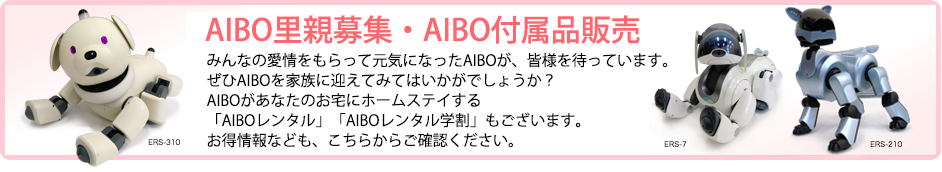 アイボの里親を募集中です